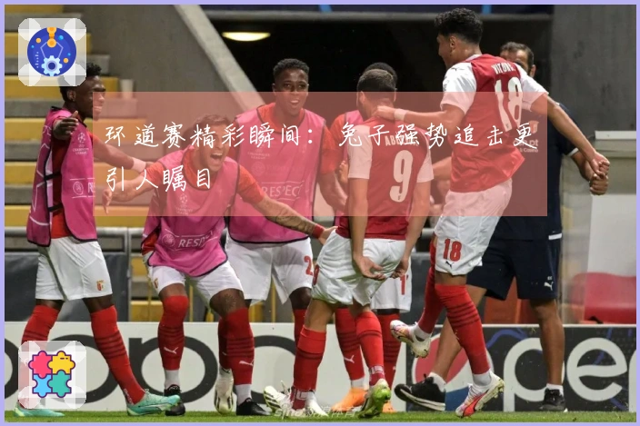 环道赛精彩瞬间：兔子强势追击更引人瞩目