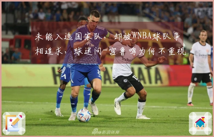 未能入选国家队，却被WNBA球队争相追求，球迷问-宫鲁鸣为何不重视她？