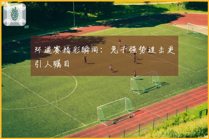 环道赛精彩瞬间：兔子强势追击更引人瞩目